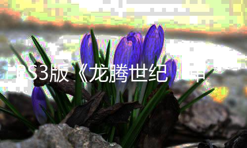 宣告3版龙的正式腾世 服审判时代关闭纪结束务器